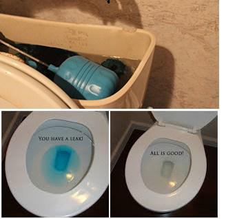 Toilet Leak Test