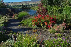 Outdoor garden with gravel path and water in the background