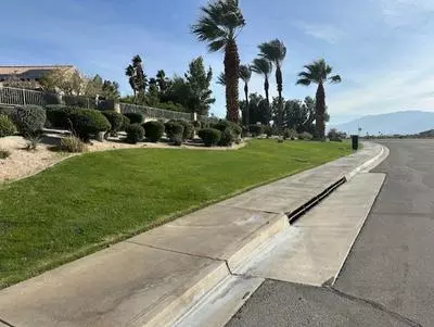 a strip of grass along a sidewalk